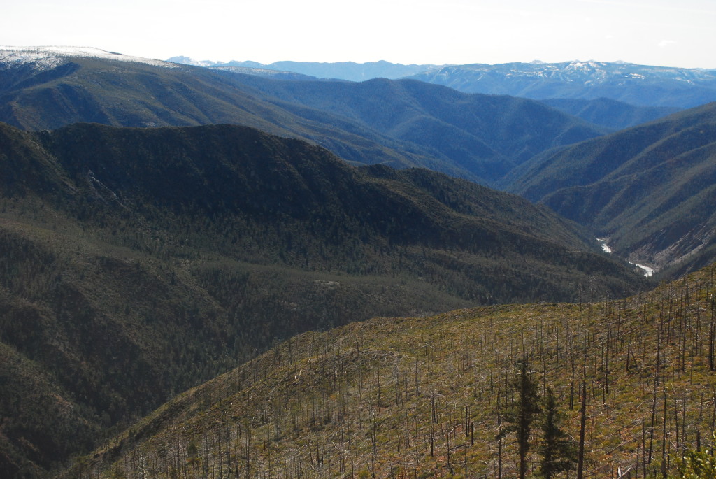 Looking downstream from the shuttle road