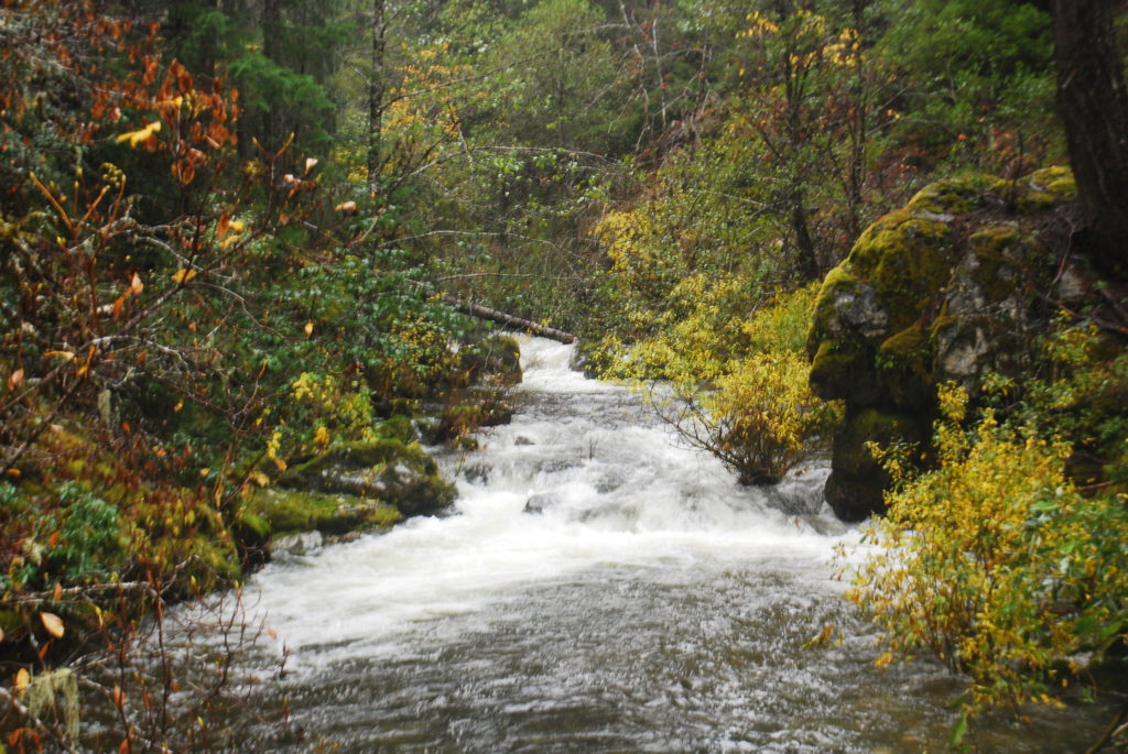 The Butte Fork of the Applegate