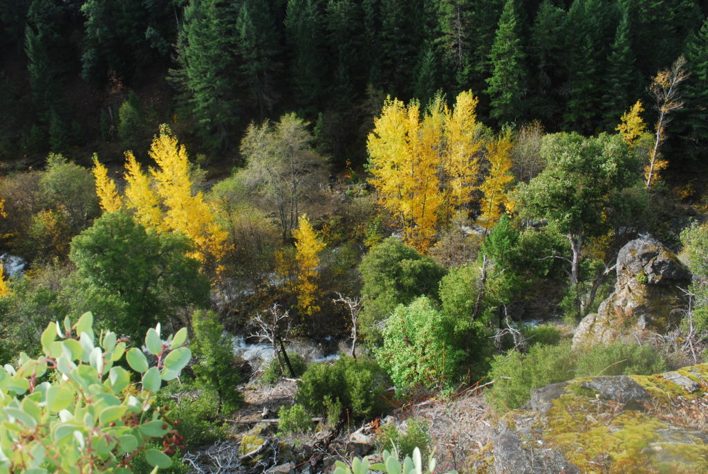 Looking down at the Butte Fork while hiking back in.